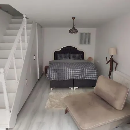 Lejlighed Comfortable, Duplex With Garden *