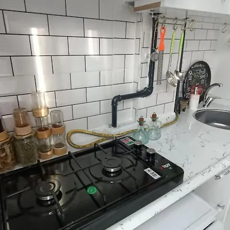 Apartman Comfortable, Duplex With Garden